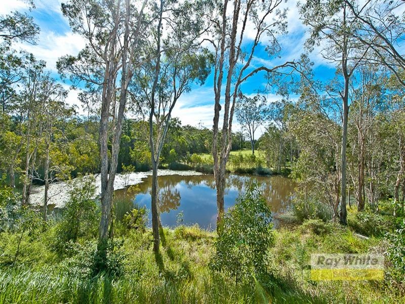 39 Pademelon Circuit, North Lakes QLD 4509