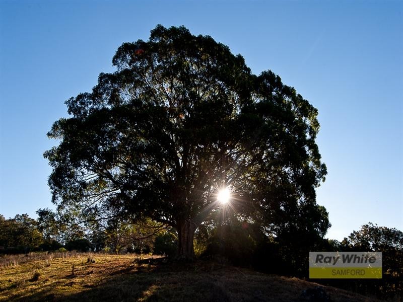 43 Dobson Road, Clear Mountain QLD 4500