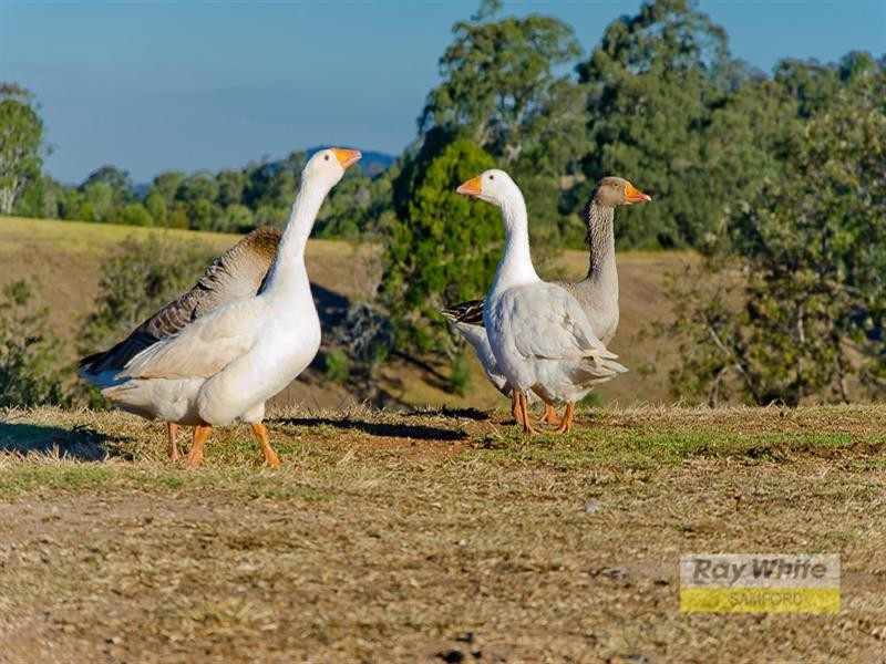 43 Dobson Road, Clear Mountain QLD 4500