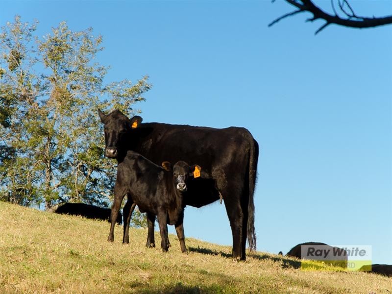 43 Dobson Road, Clear Mountain QLD 4500