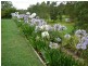 8 Alpine Drive, Draper QLD 4520