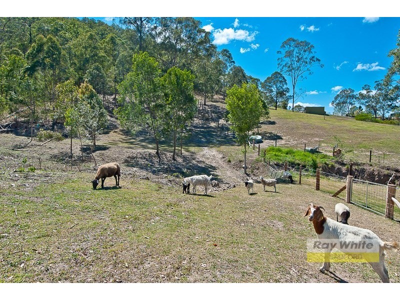 540 Cedar Creek Road, Cedar Creek QLD 4520