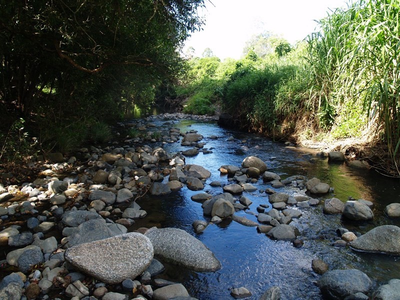 699 Mount Glorious Road, Highvale QLD 4520