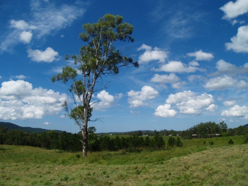 699 Mount Glorious Road, Highvale QLD 4520