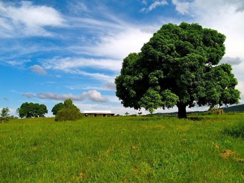 699 Mount Glorious Road, Highvale QLD 4520