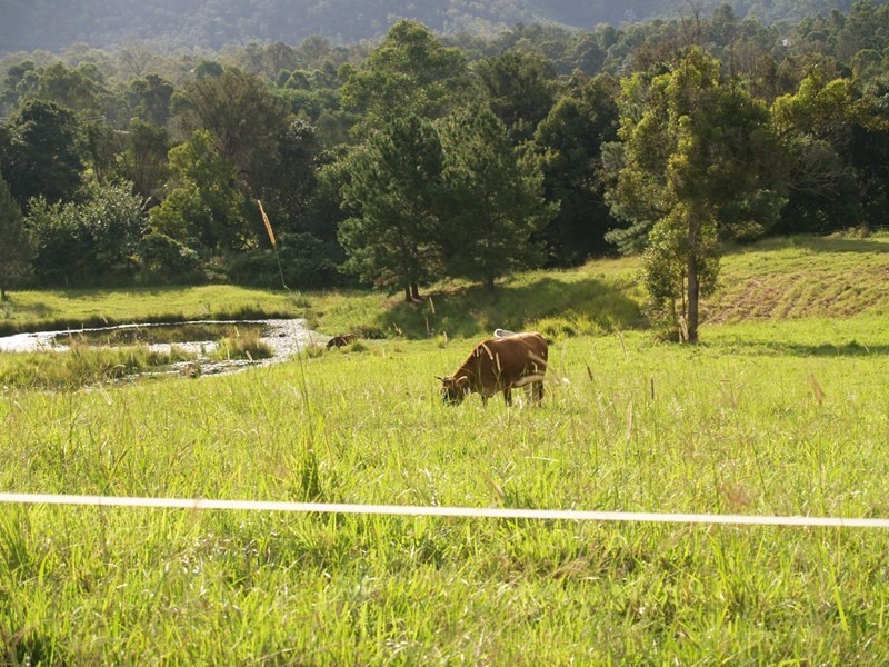 699 Mount Glorious Road, Highvale QLD 4520