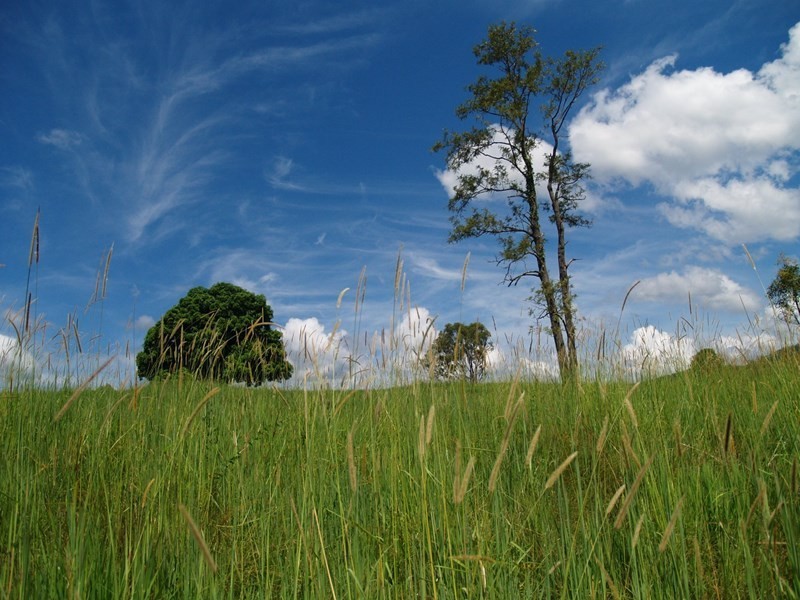 699 Mount Glorious Road, Highvale QLD 4520