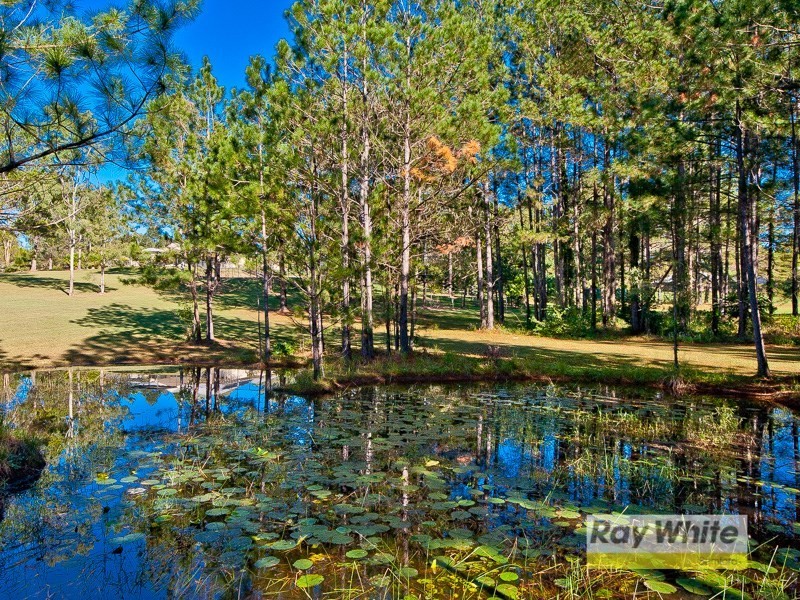 6 Kay Drive, Samford Valley QLD 4520