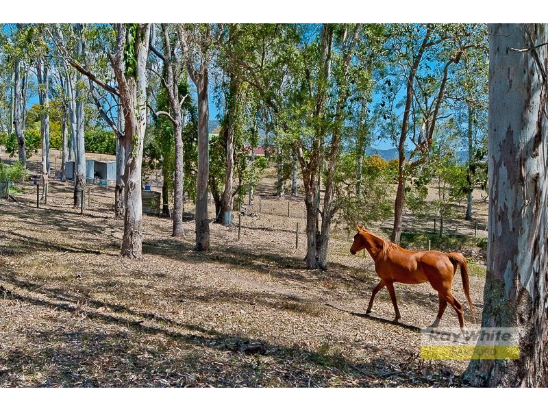 98 Camp Mountain Road, Camp Mountain QLD 4520