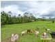 8 Vivian Place, Samsonvale QLD 4520