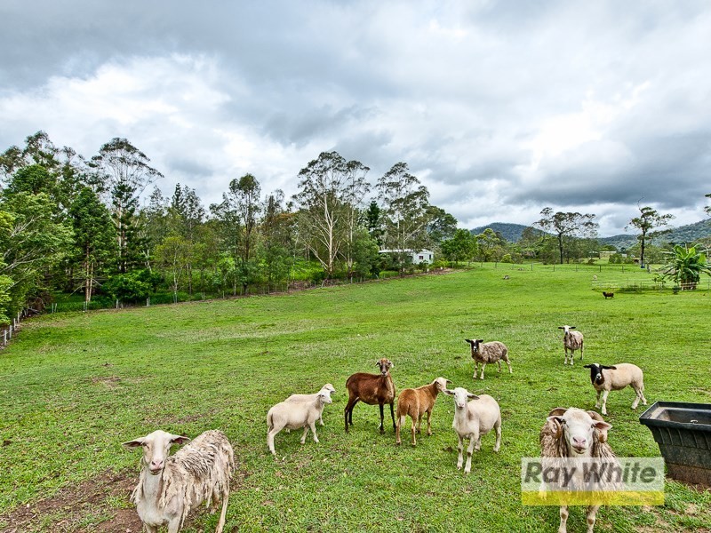 8 Vivian Place, Samsonvale QLD 4520