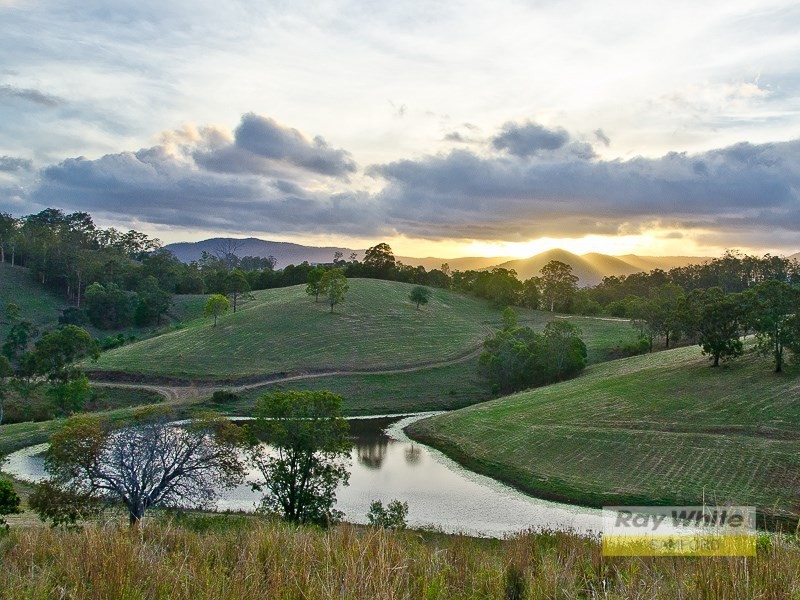 Lots 1-19 695 Clear Mountain Road, Clear Mountain QLD 4500