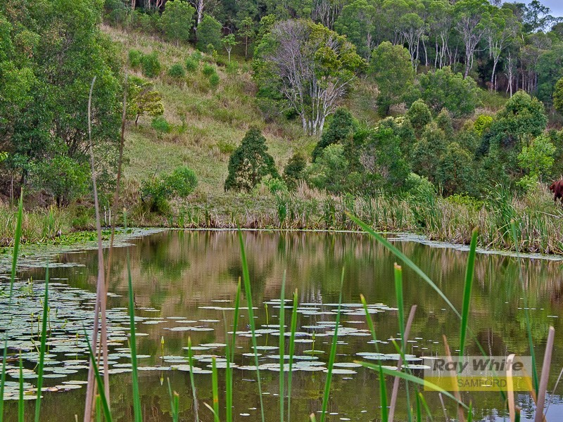 Lots 1-19 695 Clear Mountain Road, Clear Mountain QLD 4500