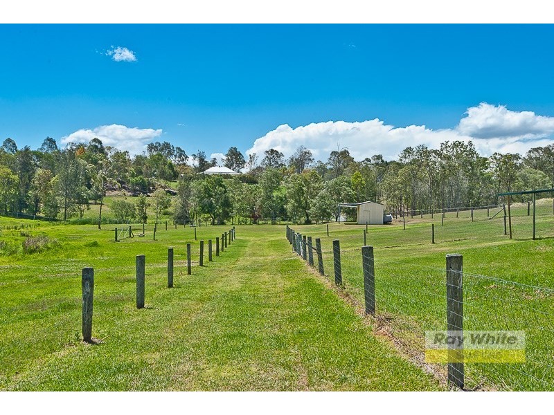 10 Janley Court, Wights Mountain QLD 4520