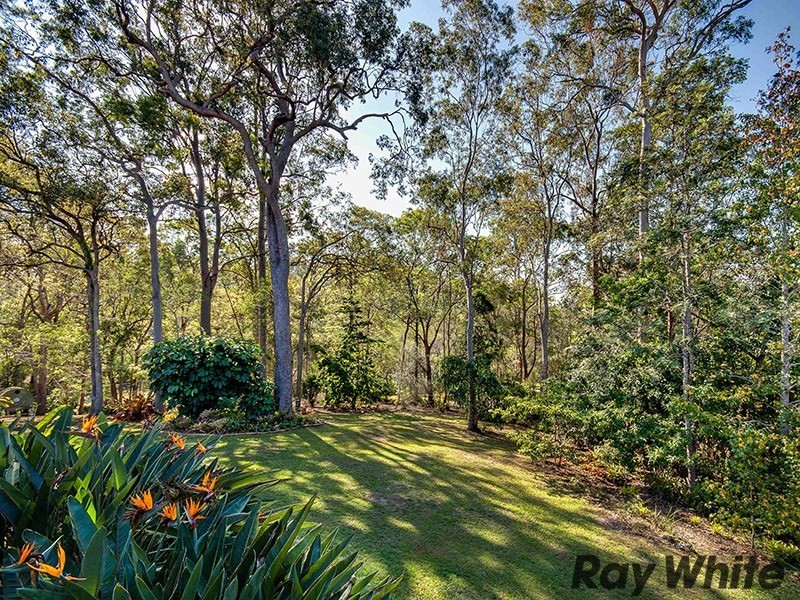 Bunya QLD 4055