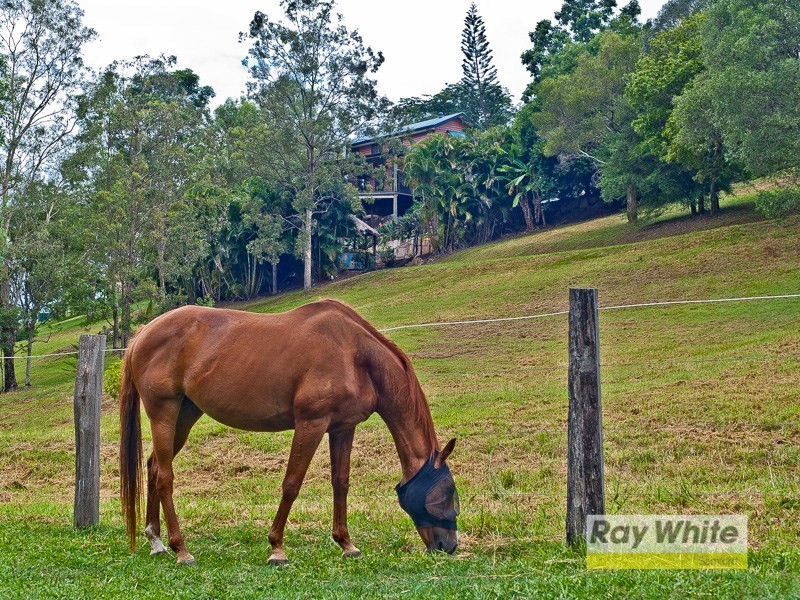 16 Woodglen Court, Samford Valley QLD 4520