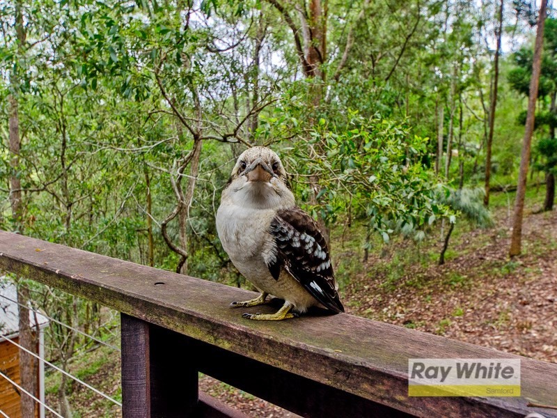 28 Buranda Road, Clear Mountain QLD 4500