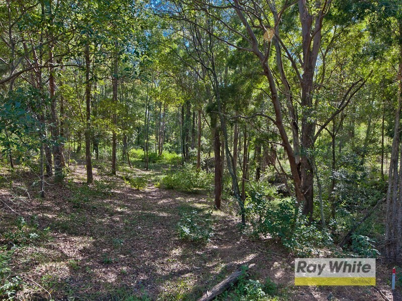 170 Armstrong Creek Road, Armstrong Creek QLD 4520