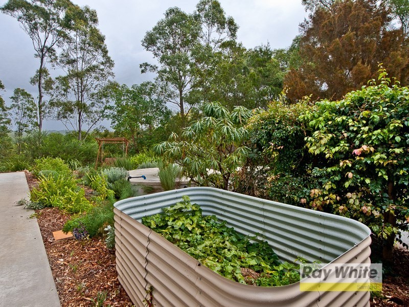 13 Willem Drive, Draper QLD 4520