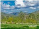 Lots 28-33 “The Bluff” Masseys Creek Court, Cedar Creek QLD 4520