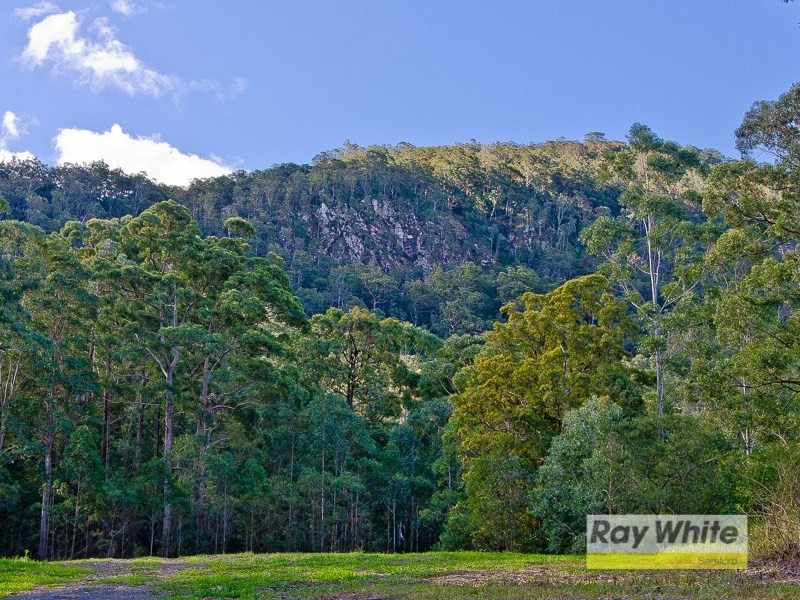 Lots 28-33 “The Bluff” Masseys Creek Court, Cedar Creek QLD 4520