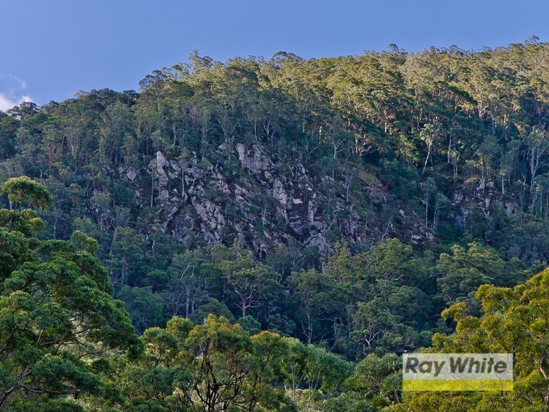 Lots 28-33 “The Bluff” Masseys Creek Court, Cedar Creek QLD 4520