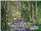 Lots 28-33 “The Bluff” Masseys Creek Court, Cedar Creek QLD 4520