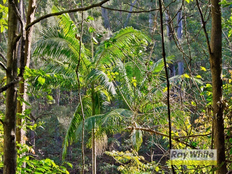 Lots 28-33 “The Bluff” Masseys Creek Court, Cedar Creek QLD 4520