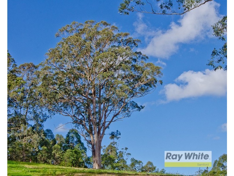 Lots 28-33 “The Bluff” Masseys Creek Court, Cedar Creek QLD 4520