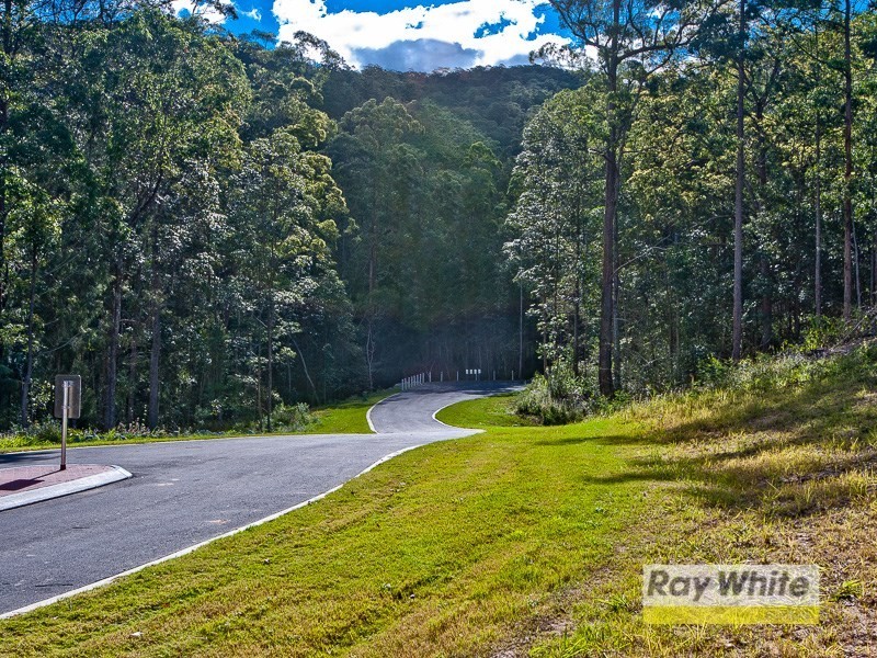 Lots 28-33 “The Bluff” Masseys Creek Court, Cedar Creek QLD 4520