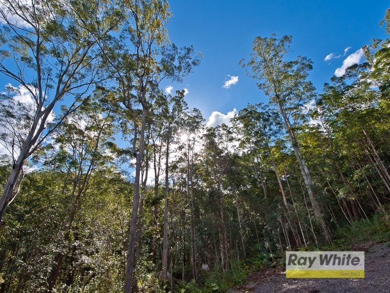 Lots 28-33 “The Bluff” Masseys Creek Court, Cedar Creek QLD 4520