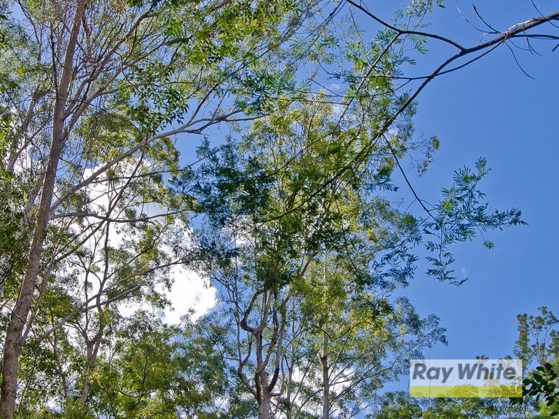 Lot 27 Masseys Creek Court, Cedar Creek QLD 4520