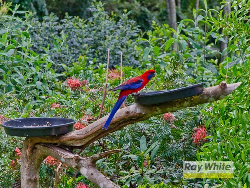 1823 Mount Glorious Road, Mount Glorious QLD 4520