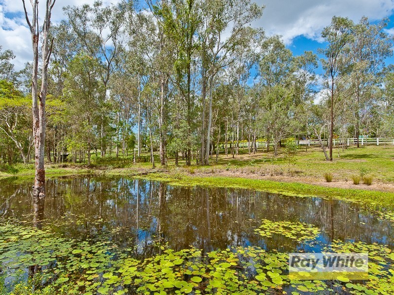 Camp Mountain QLD 4520