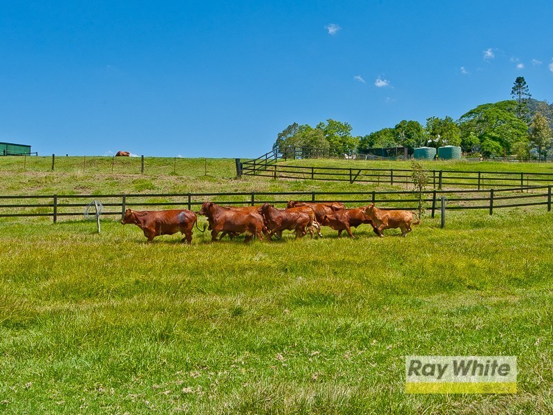 134 Foggs Road, Mount Samson QLD 4520