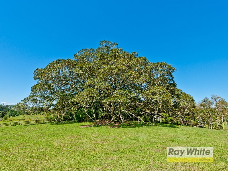 134 Foggs Road, Mount Samson QLD 4520