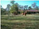 84 Camp Mountain Road, Camp Mountain QLD 4520