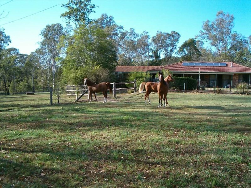 84 Camp Mountain Road, Camp Mountain QLD 4520
