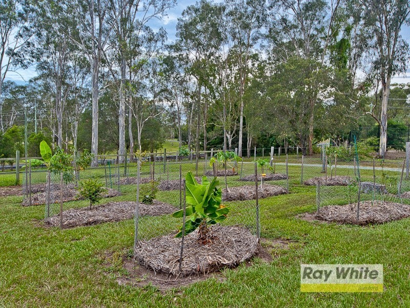84 Camp Mountain Road, Camp Mountain QLD 4520