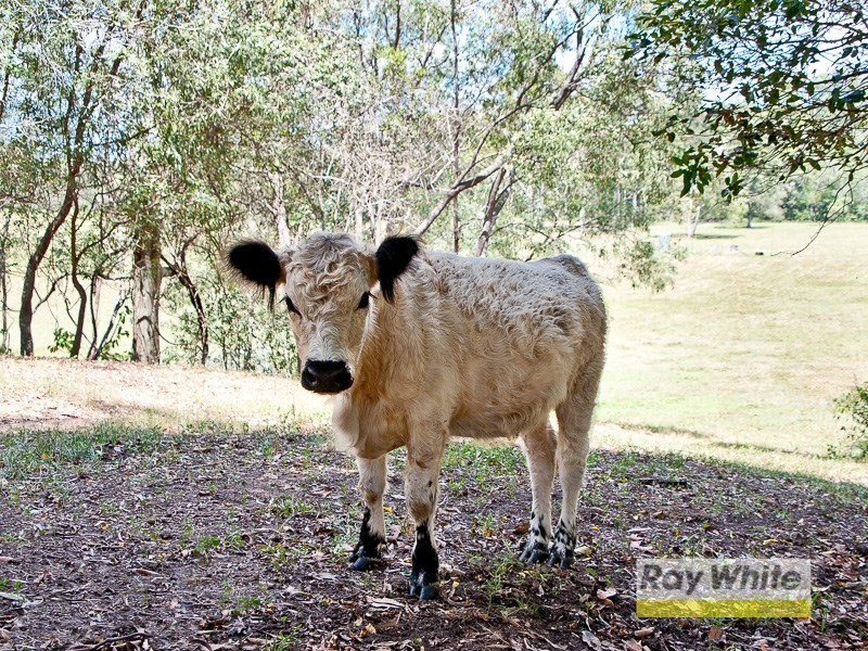 44 Bennett Road, Kobble Creek QLD 4520