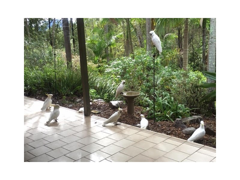 Camp Mountain QLD 4520