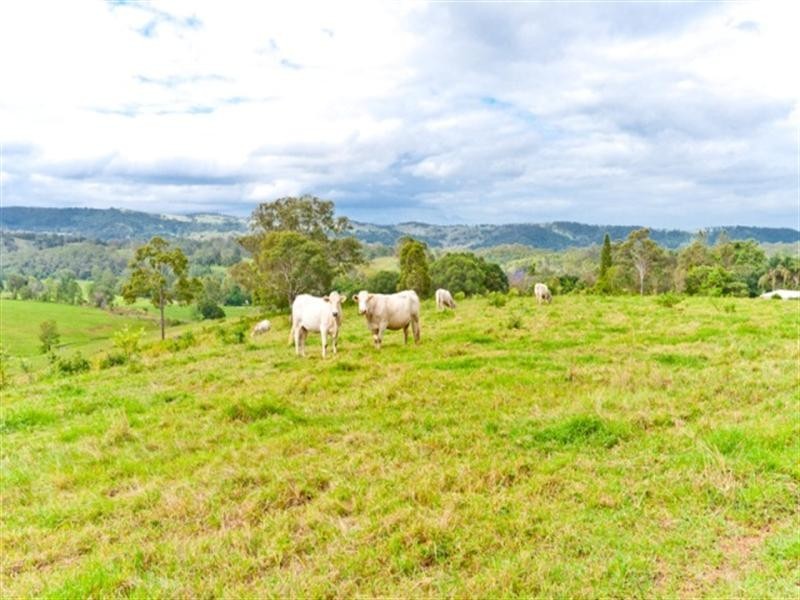 267 Laceys Creek Road, Dayboro QLD 4521