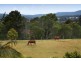 1970 Mt Samson Road, Samford QLD 4520