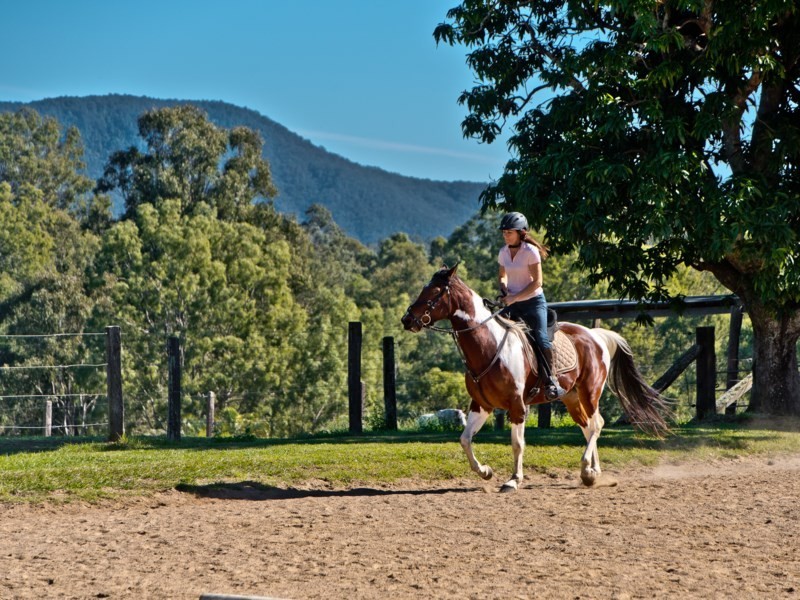 1 Richards Road, Camp Mountain QLD 4520