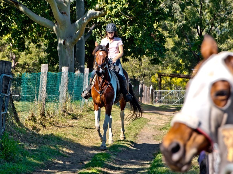 1 Richards Road, Camp Mountain QLD 4520