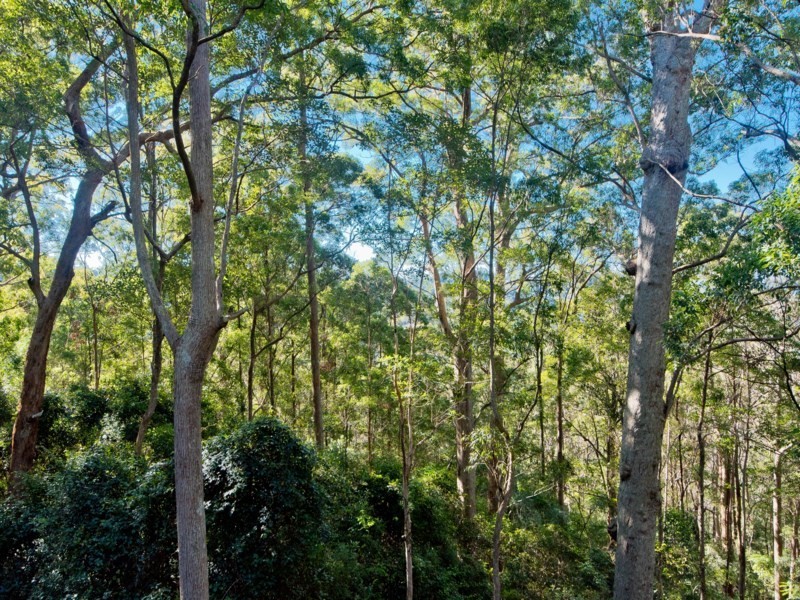 25 Harland Road, Mount Glorious QLD 4520