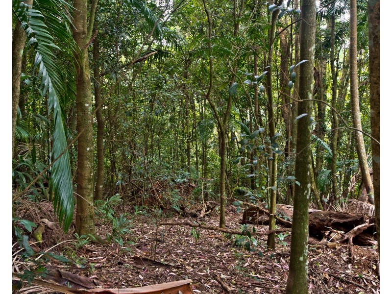 45 Alex Road, Mount Glorious QLD 4520