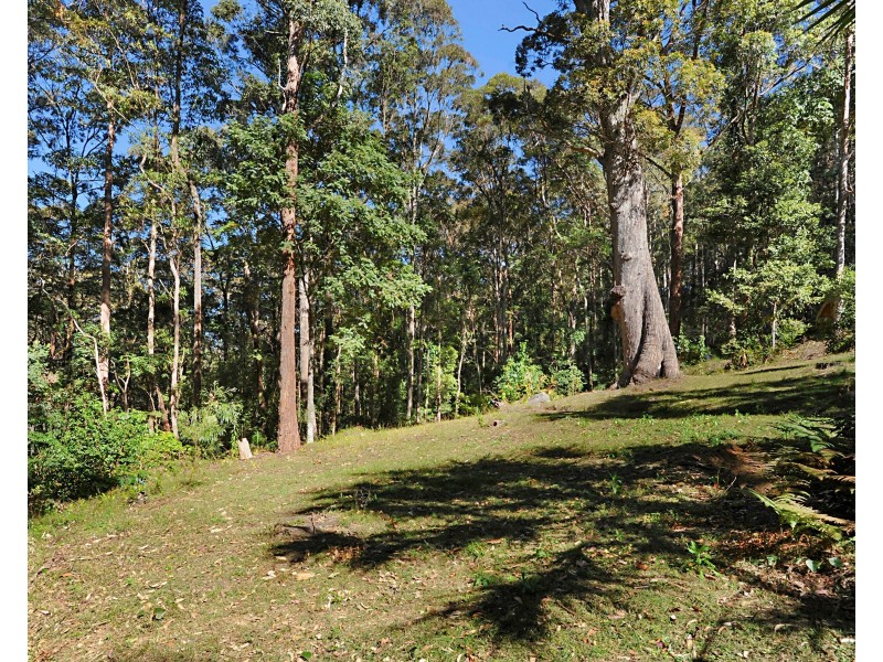 2333 Mount Nebo Road, Mount Nebo QLD 4520