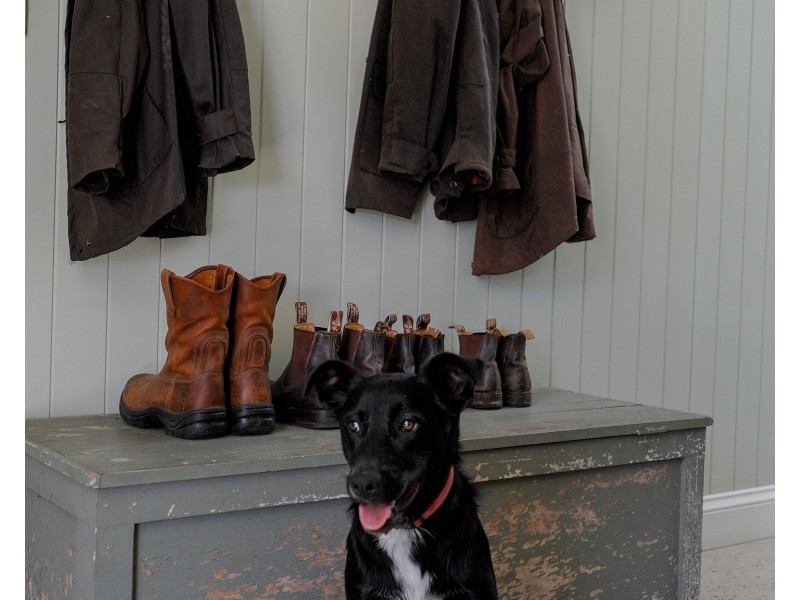 3 Rose Lane, Laceys Creek QLD 4521