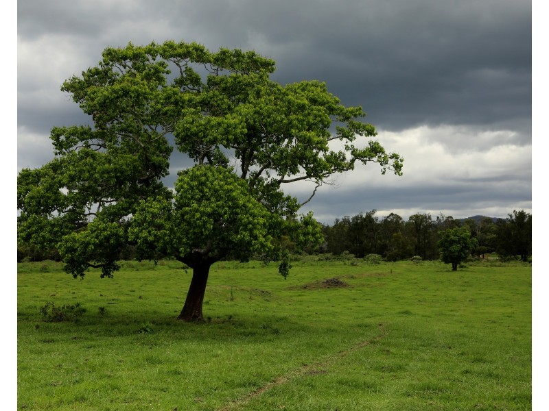 Lot 15 Briscoe Road, Dayboro QLD 4521